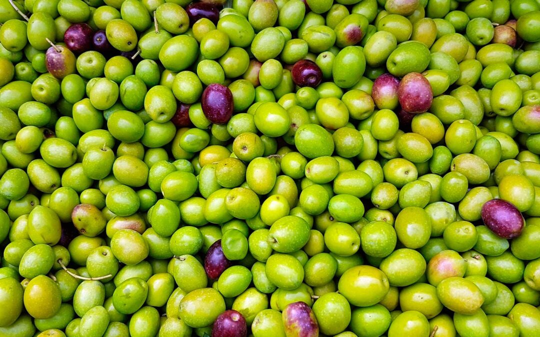 aceitunas_verdes