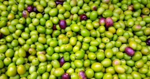 aceitunas_verdes